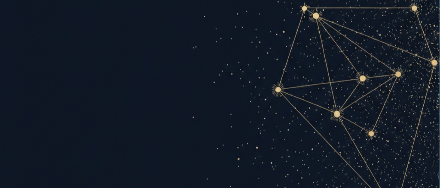 A plotted field of reference points joined by fine measurement lines